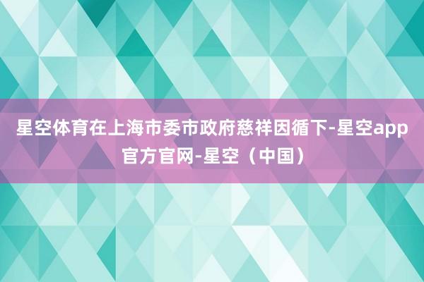 星空体育在上海市委市政府慈祥因循下-星空app官方官网-星空（中国）