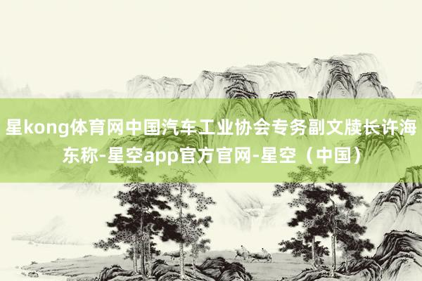 星kong体育网中国汽车工业协会专务副文牍长许海东称-星空app官方官网-星空（中国）