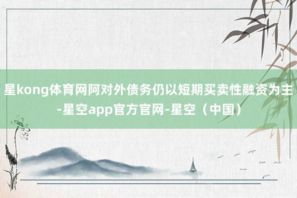 星kong体育网阿对外债务仍以短期买卖性融资为主-星空app官方官网-星空(中国)