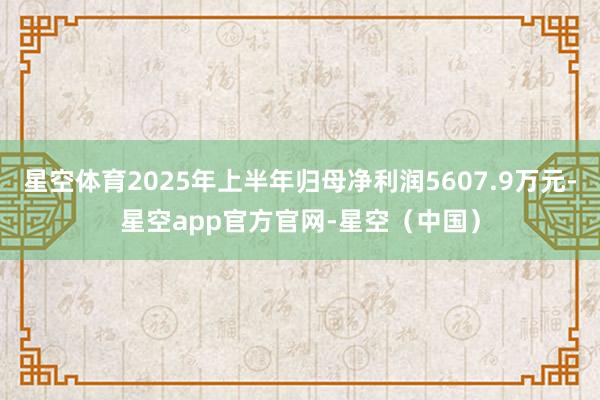 星空体育2025年上半年归母净利润5607.9万元-星空app官方官网-星空(中国)